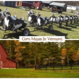 Corn Mazes In Vermont