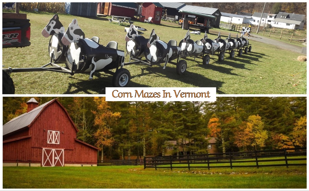 Corn Mazes In Vermont